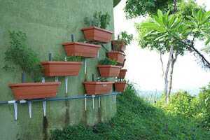 vertical-garden-costa-rica Eve Sibley's Wall of Salad, Costa Rica Style