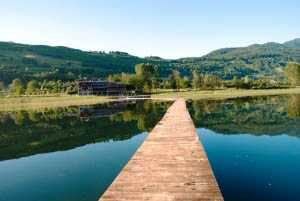 Phoenix Rising Yoga Therapy Retreats