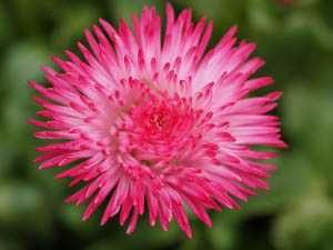 Jivamukti Yoga Teacher Training
