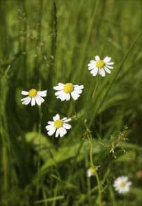Yin Yoga Retreats