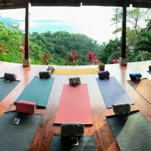Yoga Retreats with Cristiane Machado