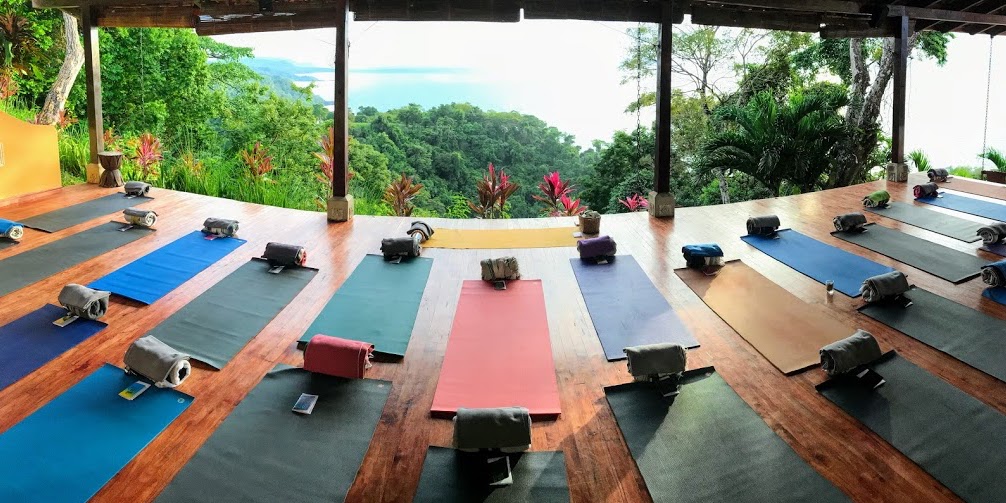 YOGA RETREATS  Wholesome Alchemy